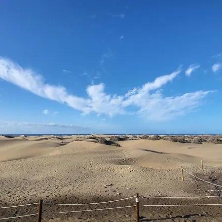 View Ii